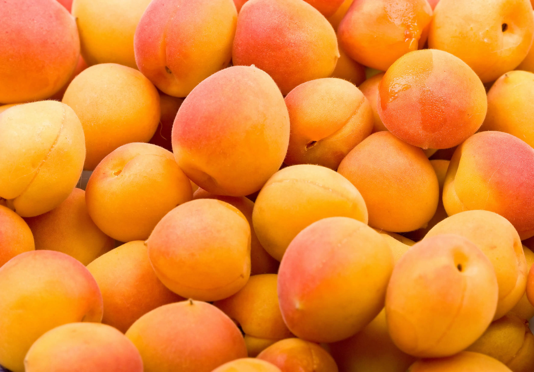 7 REASONS TO EAT APRICOTS Project Wellness Now