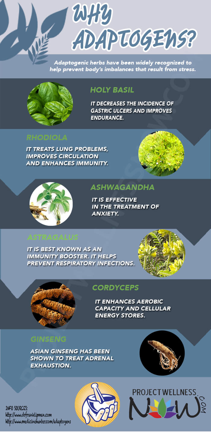 adaptogenic herbs aka adaptogens