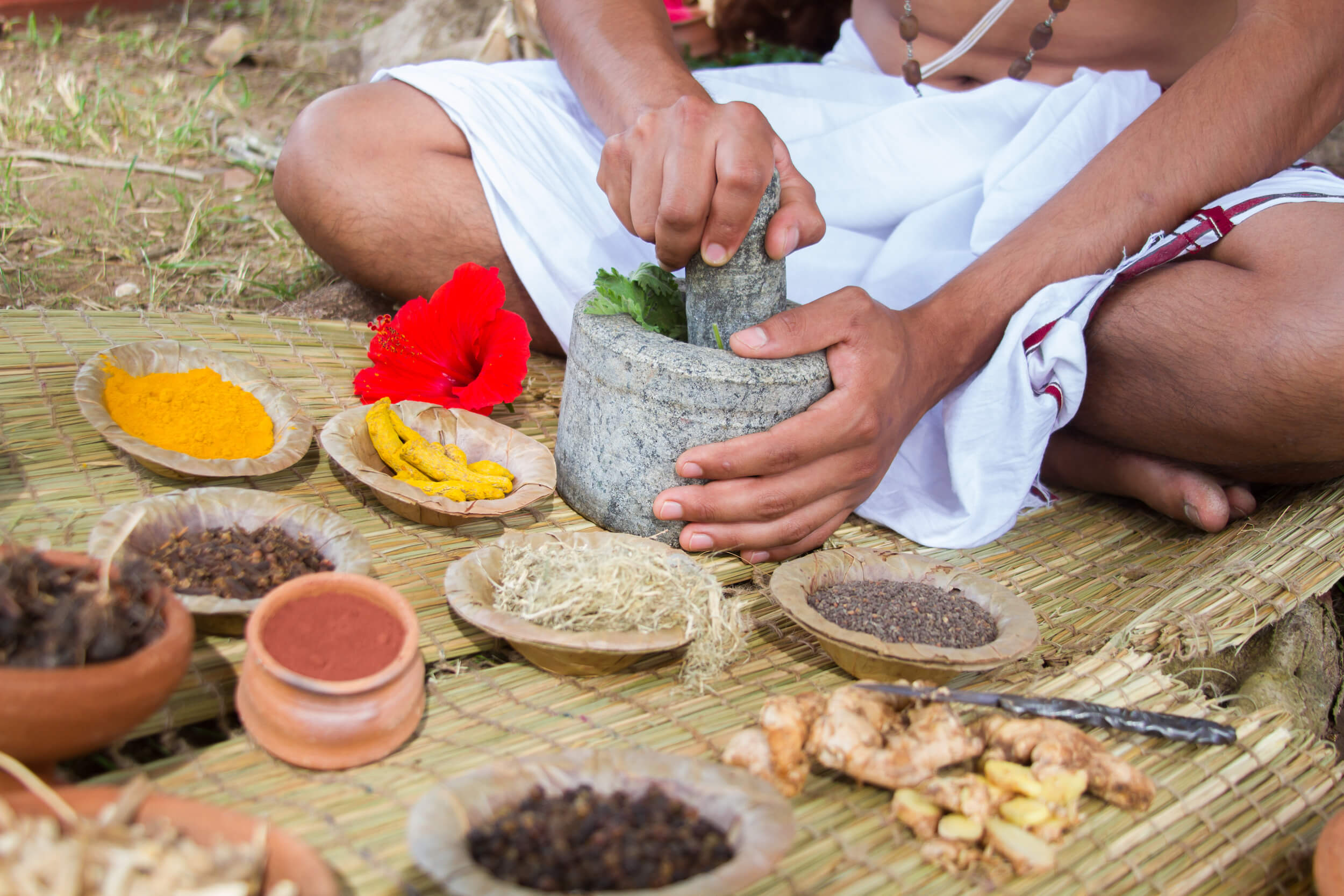 most common Ayurvedic herbs