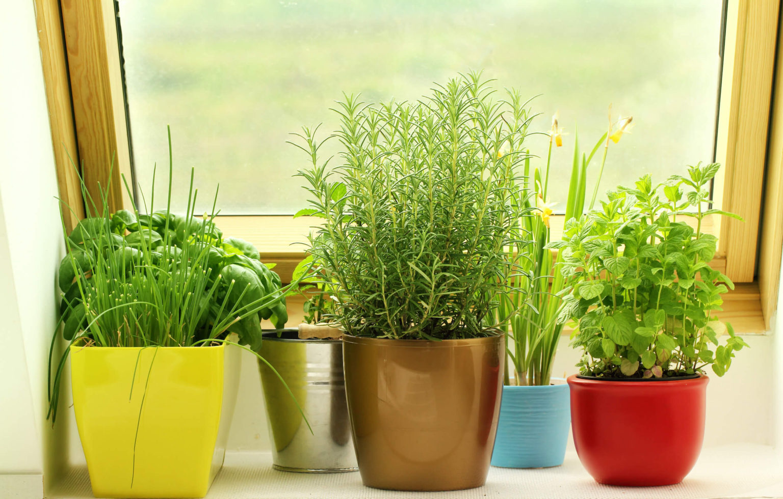 PRACTICING SELF-CARE THROUGH AYURVEDA - Project Wellness Now