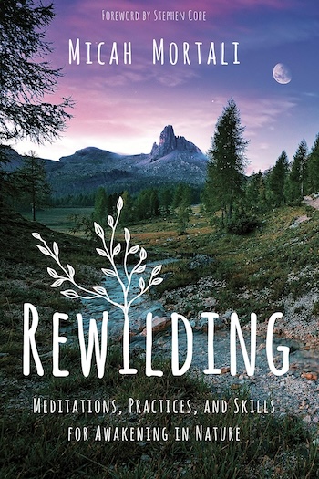 what is rewilding?